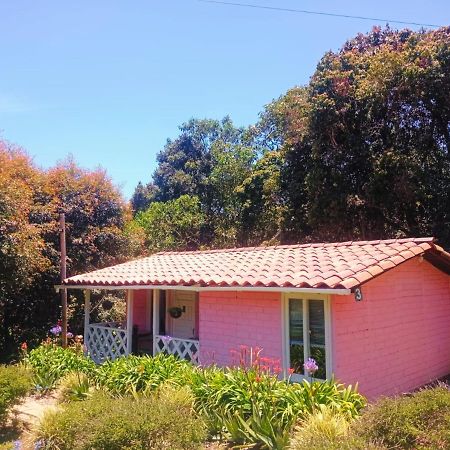 Hospedaje Santaelena -Chalets De Montana- Santa Elena  Esterno foto